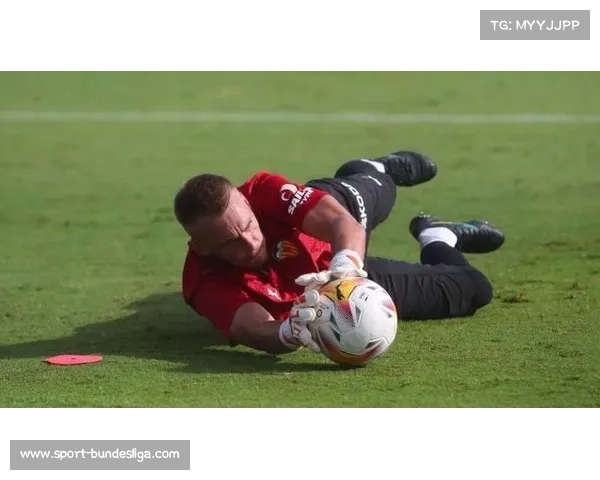 西莱森伤愈复出重返赛场 奈梅亨门神时隔七个月完成首秀 西莱森伤愈复出重返赛场 奈梅亨门神时隔七个月完成首秀