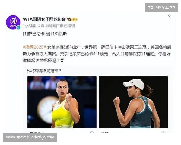 巴西选手玛雅伤退WTA年终赛,期待明年澳网复出 巴西选手玛雅伤退WTA年终赛,期待明年澳网复出