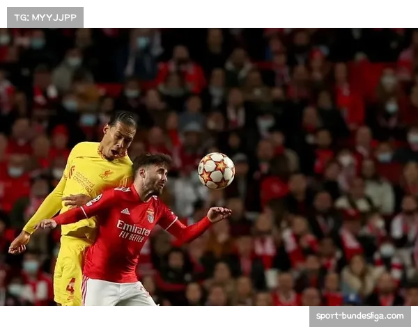 体育经济智库发布报告，分析欧冠对欧洲足球生态的财政影响